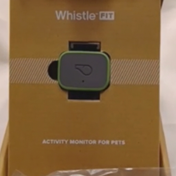 Whistle fit activity monitoring system for pet